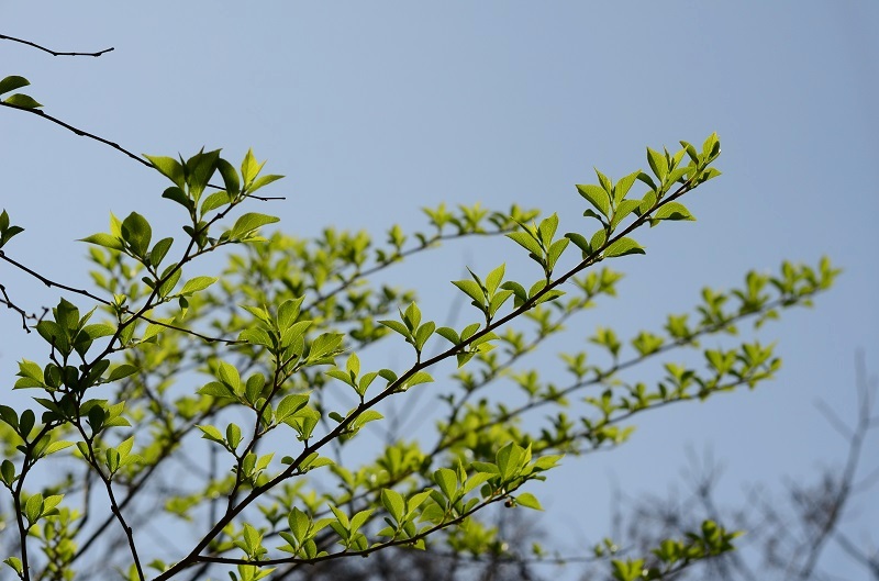 b0288942_1164114.jpg