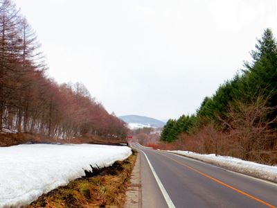b0220251_20144461.jpg