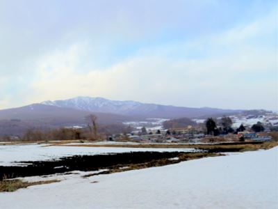 b0220251_20152173.jpg