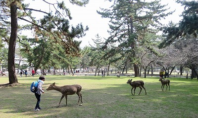 b0037654_20525850.jpg