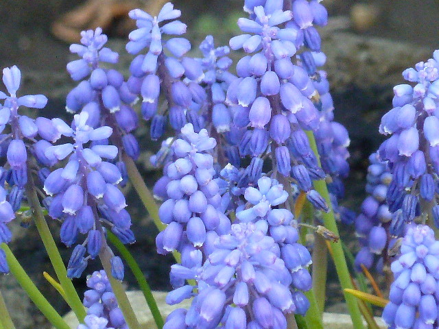 e0278968_21561874.jpg