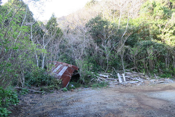e0292172_20514728.jpg