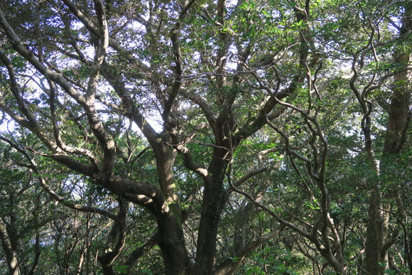 e0292172_2131864.jpg