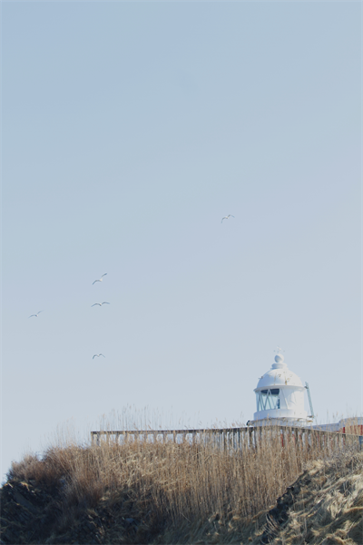 e0326479_20105995.png