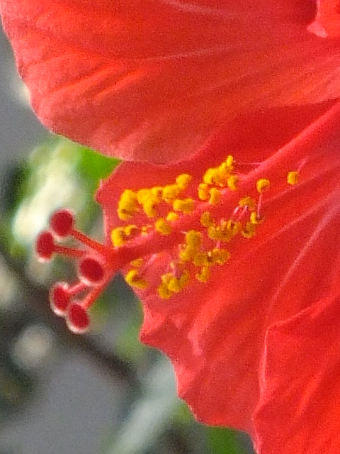 e0145782_17261021.jpg