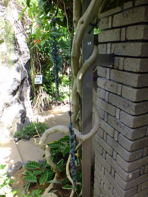 e0145782_1742048.jpg
