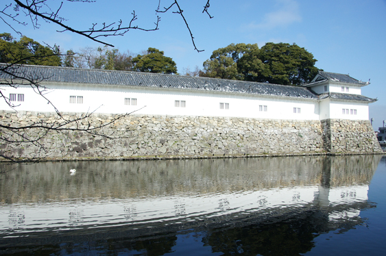 c0139591_17505886.jpg