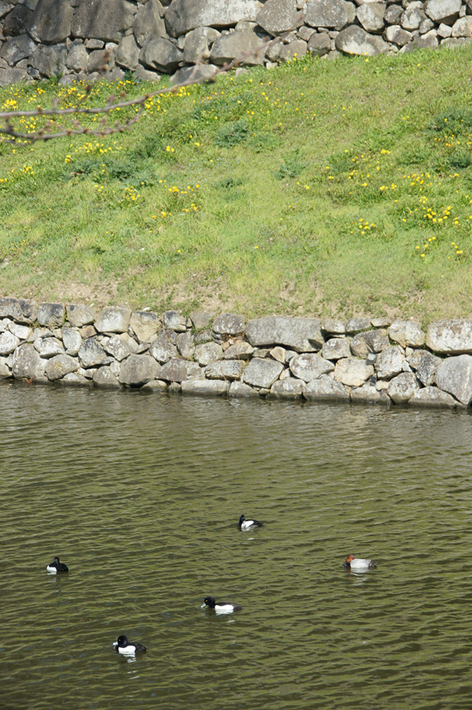c0139591_17514697.jpg