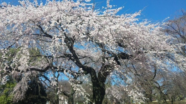 c0251099_10002400.jpg