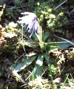a0236300_10463960.jpg