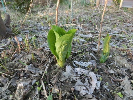 a0203003_215358.jpg