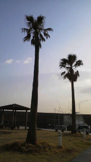 c0247314_13355785.jpg
