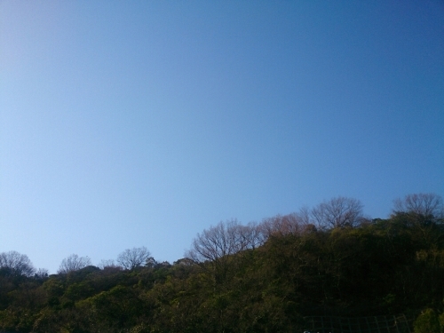 c0352015_20310987.jpg
