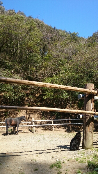 b0187620_1825873.jpg