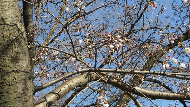 c0280322_23020163.jpg