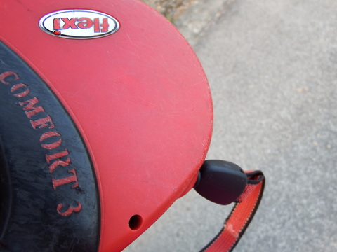 c0335229_2271460.jpg