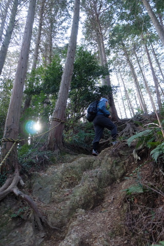 b0281732_5301765.jpg