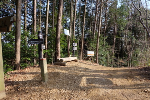 b0281732_530485.jpg