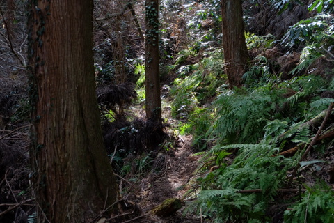 b0281732_5311671.jpg