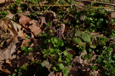 b0281732_5315963.jpg