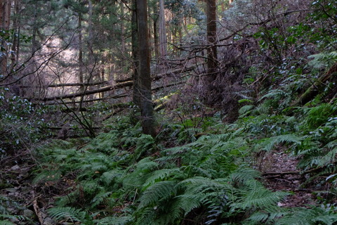b0281732_53185.jpg