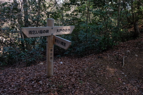 b0281732_5325058.jpg
