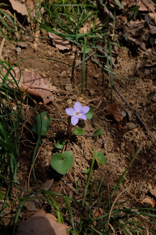 b0281732_5332139.jpg