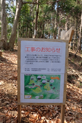 b0281732_5333537.jpg