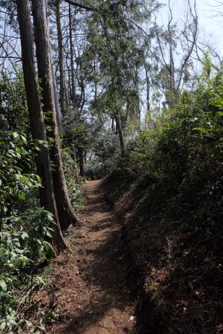 b0281732_5341854.jpg