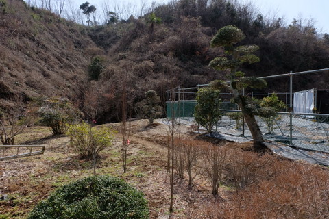 b0281732_5343943.jpg