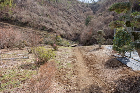 b0281732_5344753.jpg