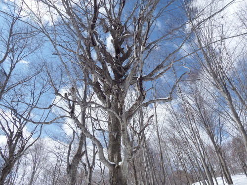 f0118332_23263586.jpg