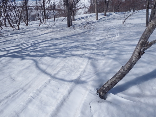 f0118332_23314408.jpg