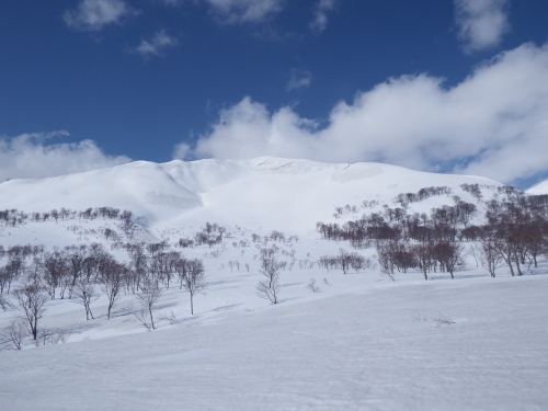 f0118332_23334308.jpg