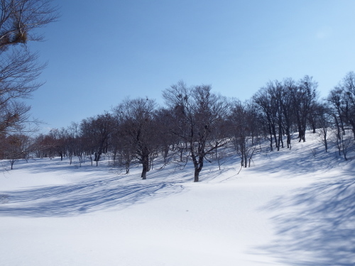 f0118332_23350937.jpg