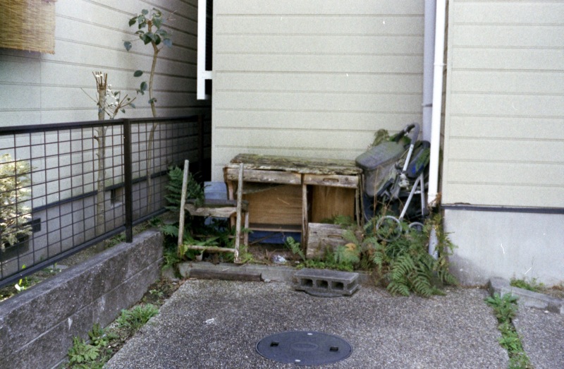 d0089742_18562432.jpg