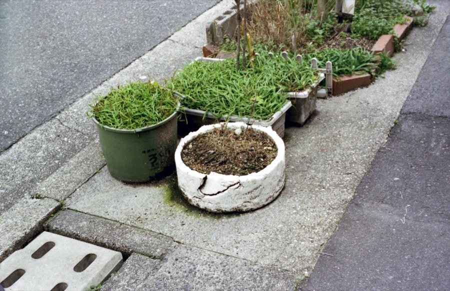 d0089742_2011146.jpg