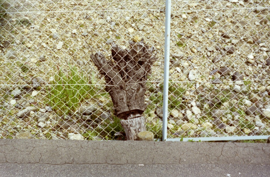 d0089742_2091337.jpg