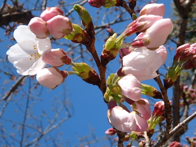f0334143_2291237.jpg
