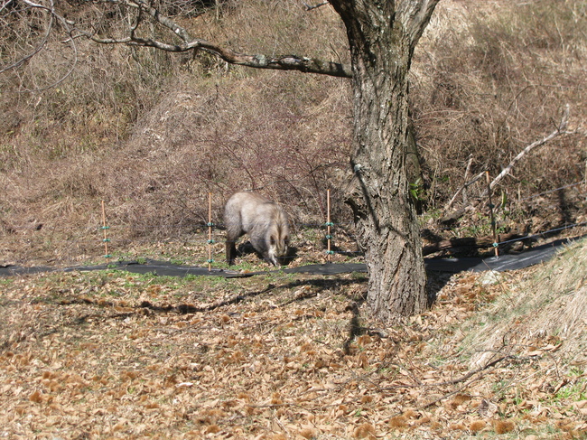 f0151044_1718347.jpg