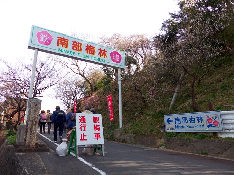 c0057946_22302864.jpg