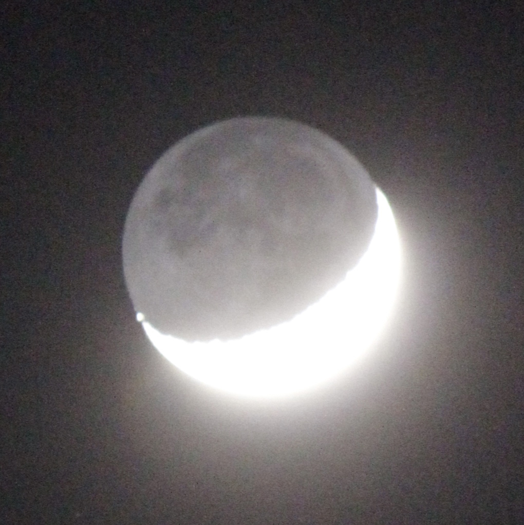 a0248459_04310080.jpg