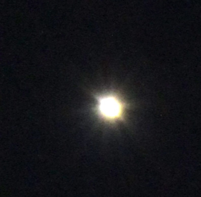 a0248459_04313145.jpg