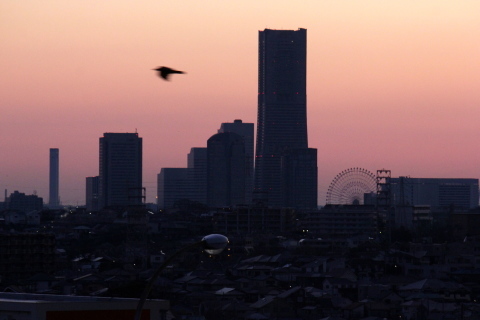 a0248459_04324231.jpg