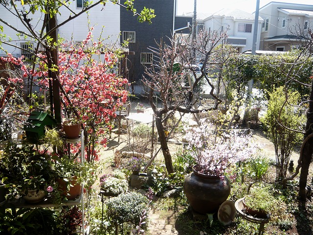 c0223959_1633529.jpg
