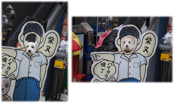 b0242873_18434829.png