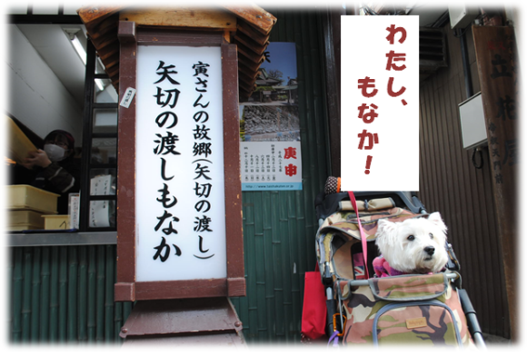 b0242873_18580428.png