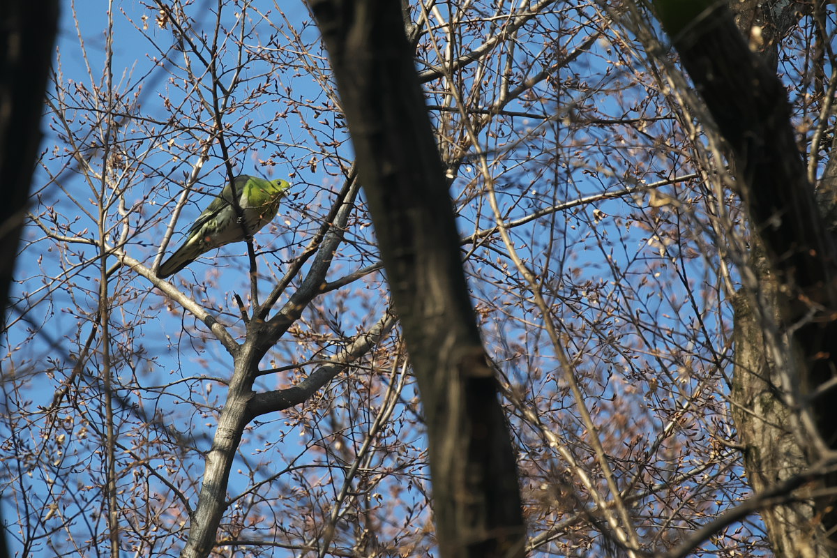 a0083081_19242087.jpg