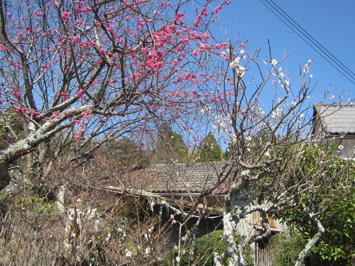 a0251786_2185116.jpg