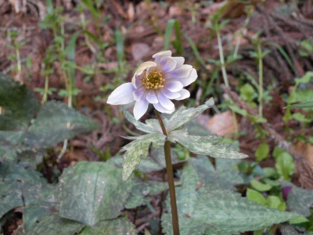 f0357487_22375911.jpg